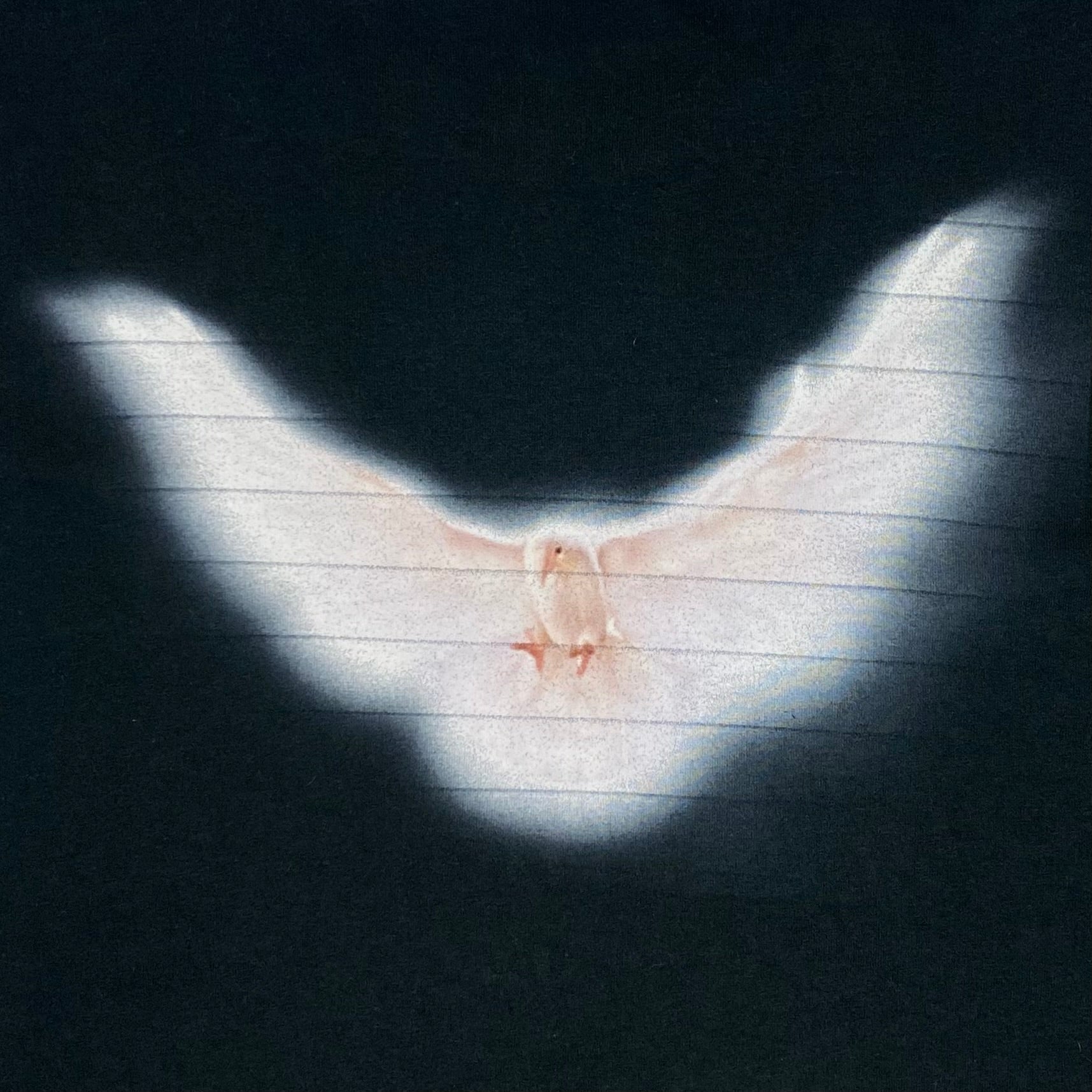 YZY GAP 2022 OG Reference Dove Tee By Betsy Johnson